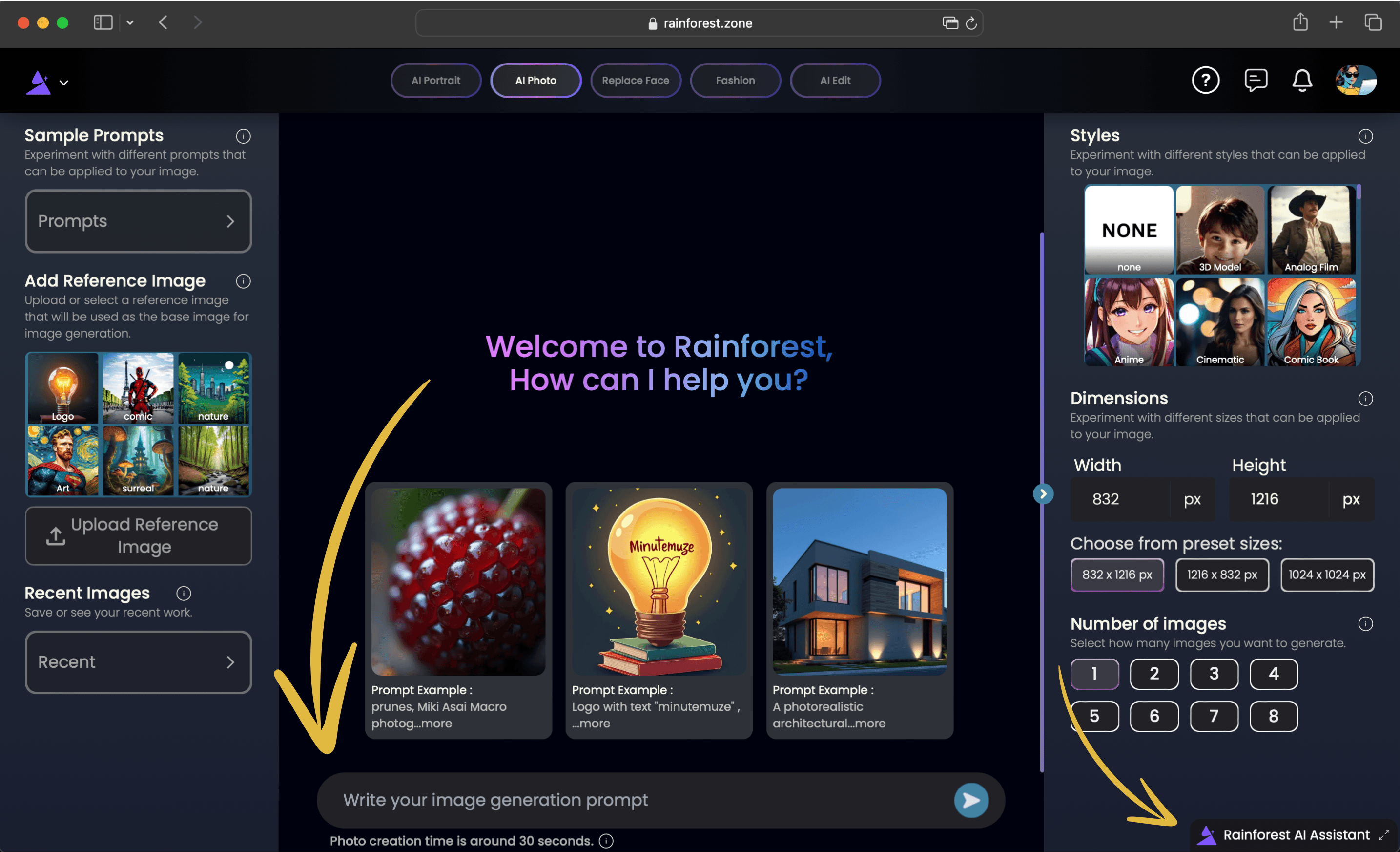 howToGenerateStep-Type your prompt - Ask RainForest AI Assistant if need any help.